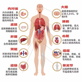 【健康科普】肥胖的危害，超过你的想象！